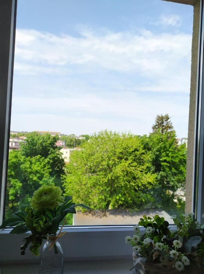 Apartament Juliusz Sandomierz Zewnętrze zdjęcie